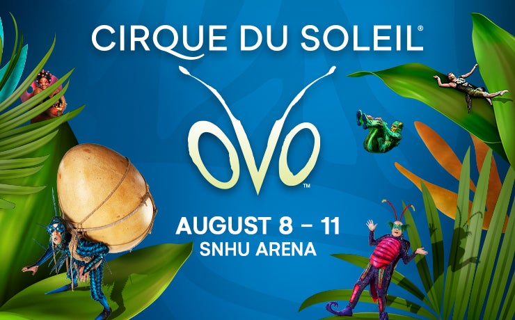 More Info for Cirque du Soleil: OVO 